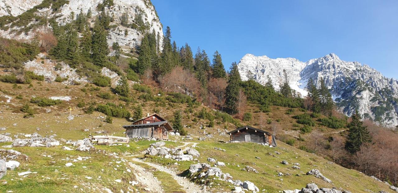 Ferienwohnung Sappl Scheffau am Wilden Kaiser Εξωτερικό φωτογραφία